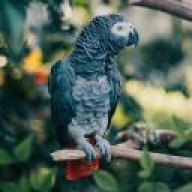 ⭕ 100Gramowich ⭕